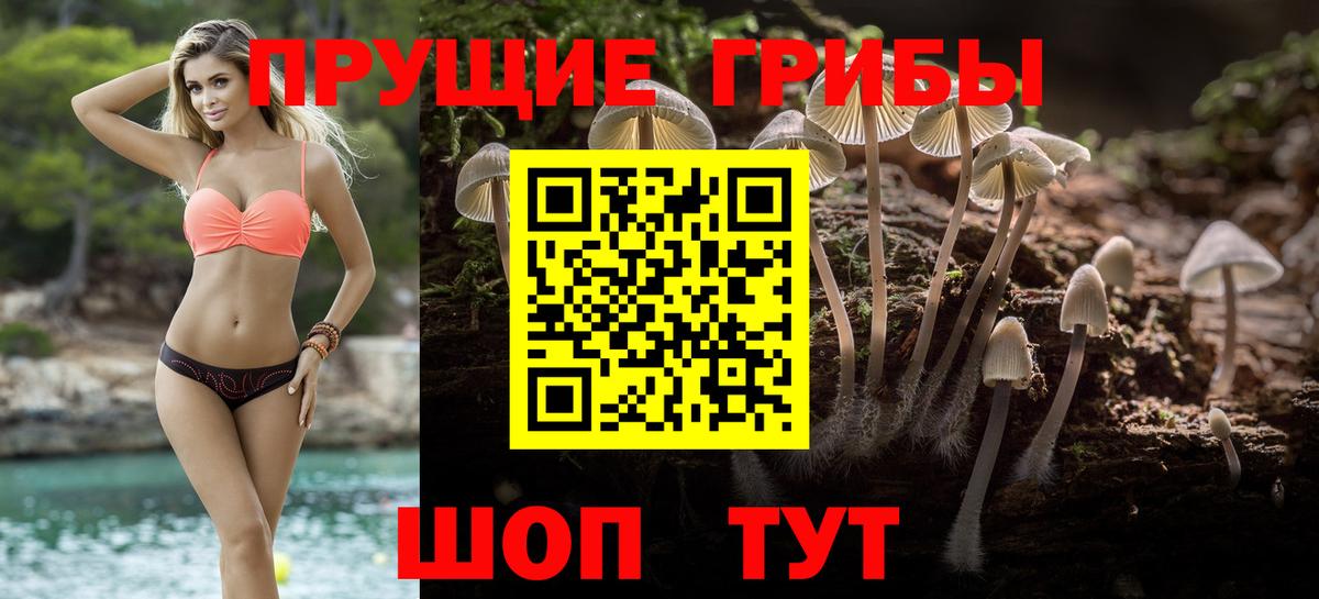 Псилоцибиновые грибы мухоморы Бор